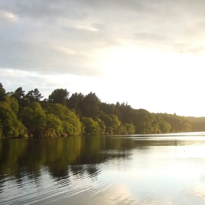 Le Castlewellan Park - Stephen Trew - cc