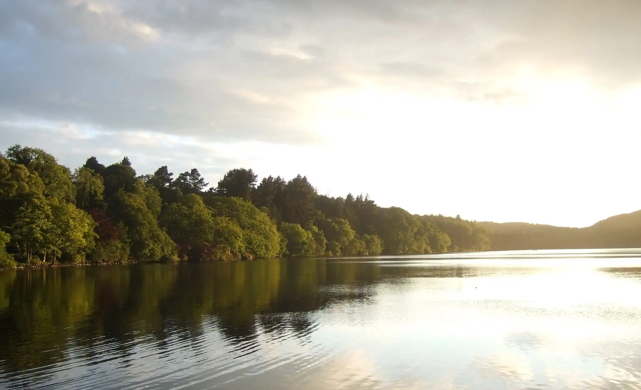 Le Castlewellan Park - Stephen Trew - cc