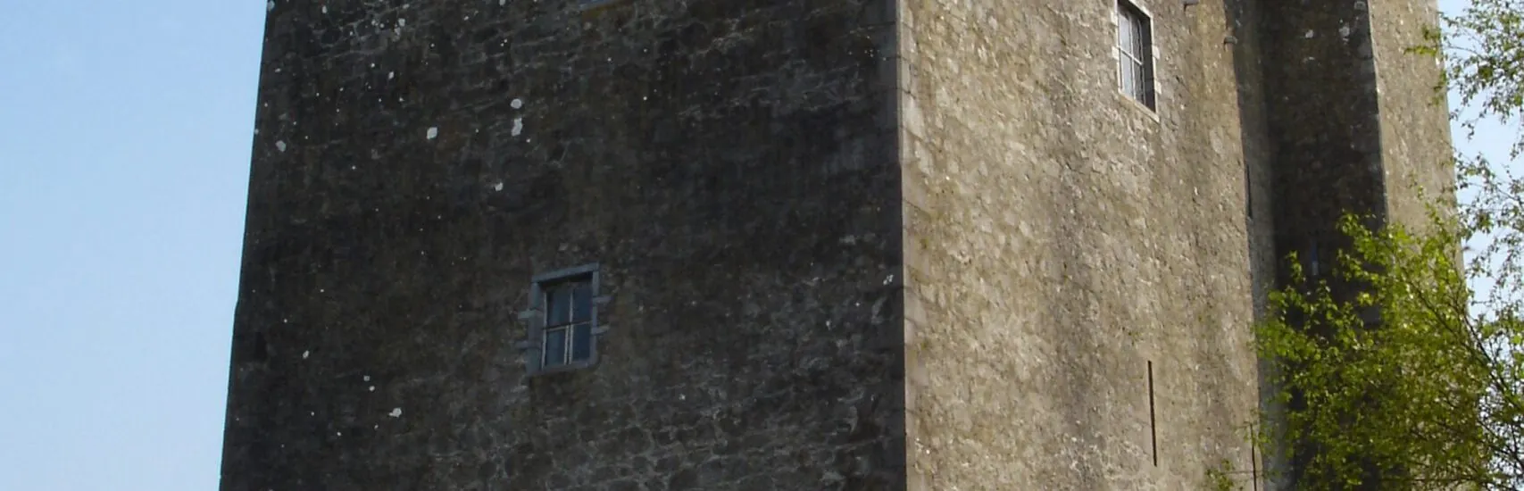 Le Redwood Castle