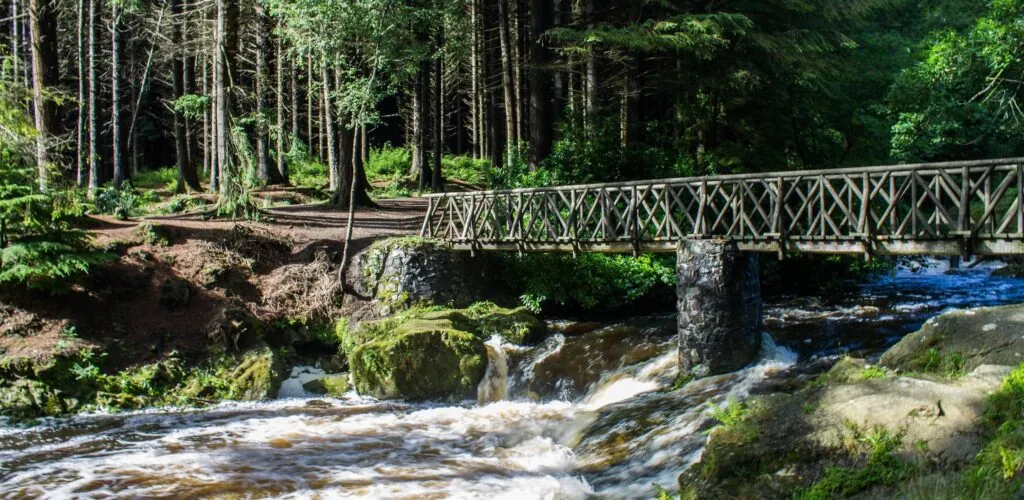 tollymore forest park 1