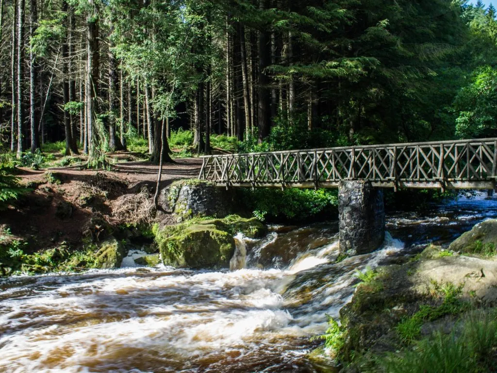 Tollymore Forest Park - Carb0nxl - cc