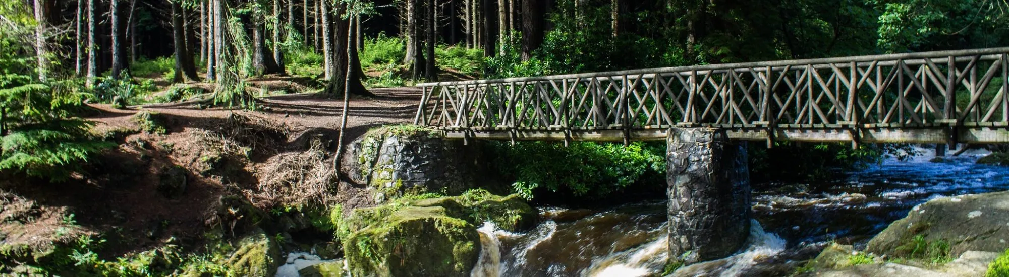 Le Tollymore Forest Park