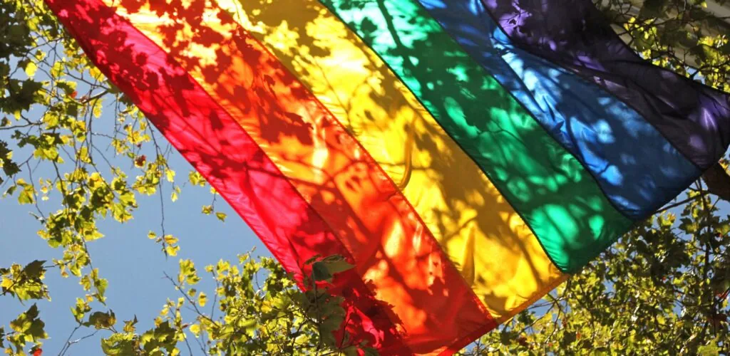 Irlande : le mariage homosexuel officiellement promulgué !
