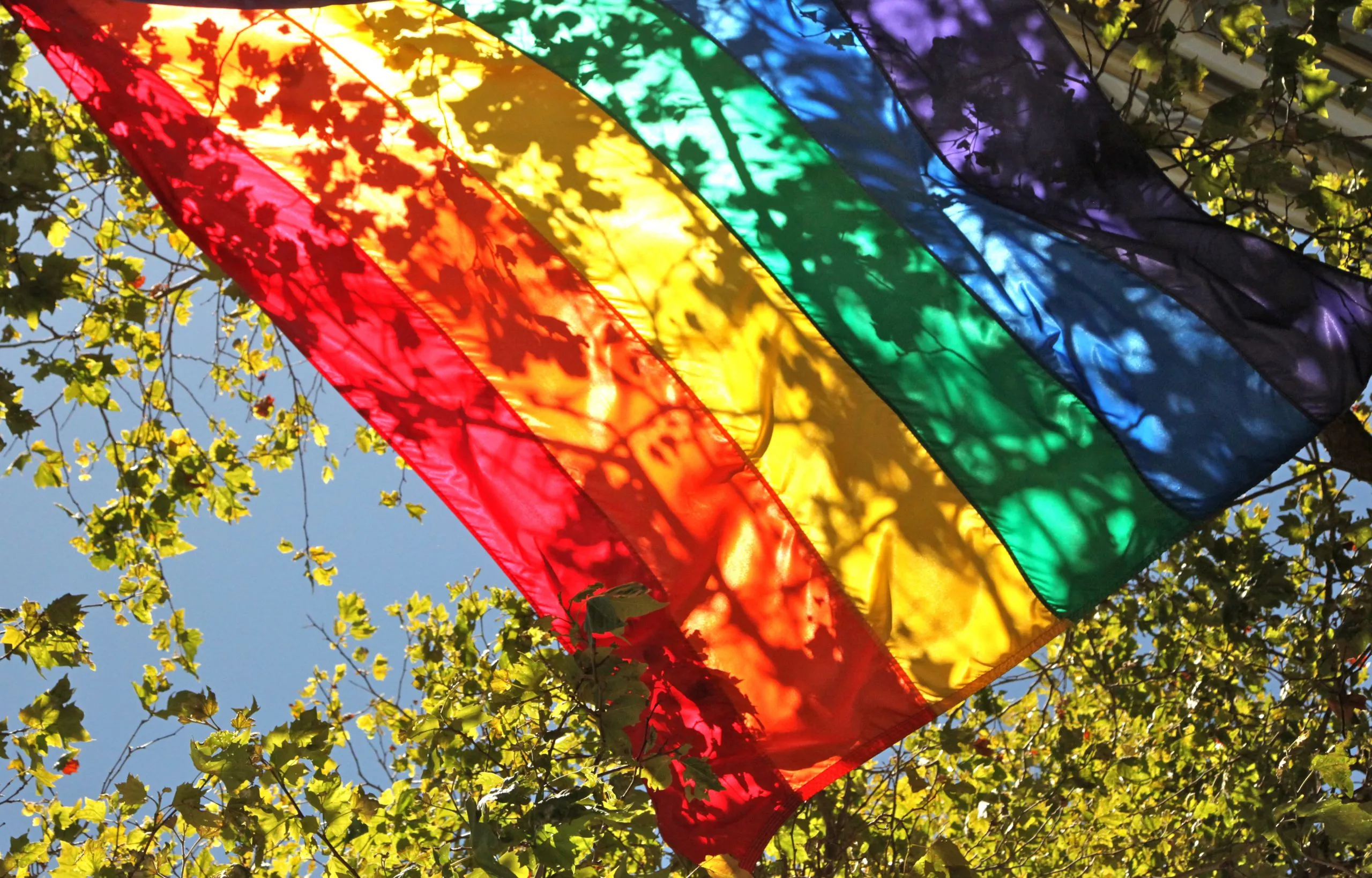 Drapeau de la gay pride - torbakhopper - cc