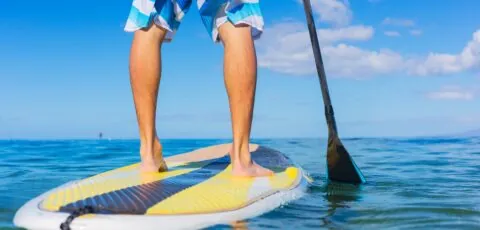 stand up paddle