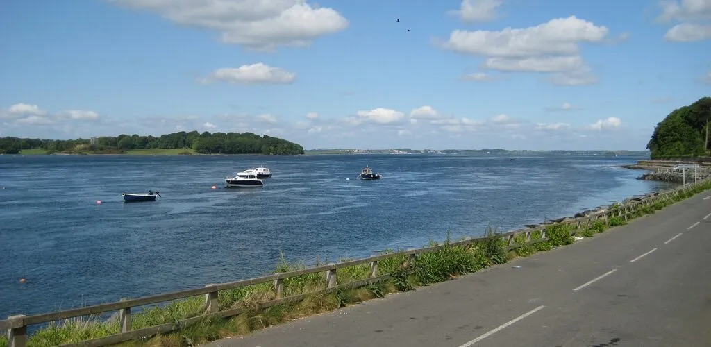 strangford lough