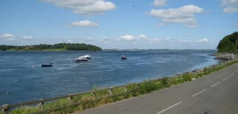 strangford lough