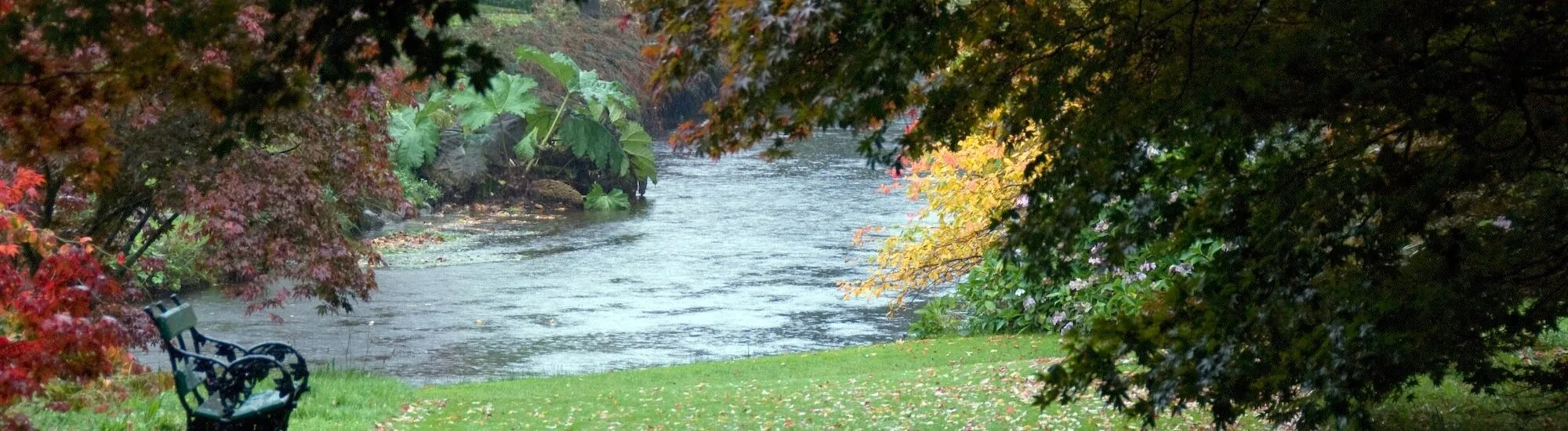 Les Mount Usher Gardens