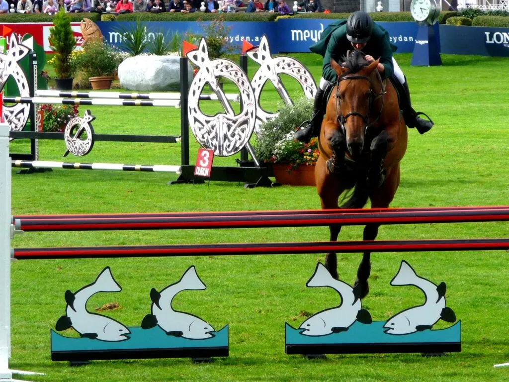 dublin horse show