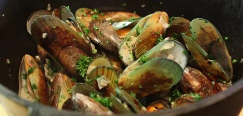 moules scaled