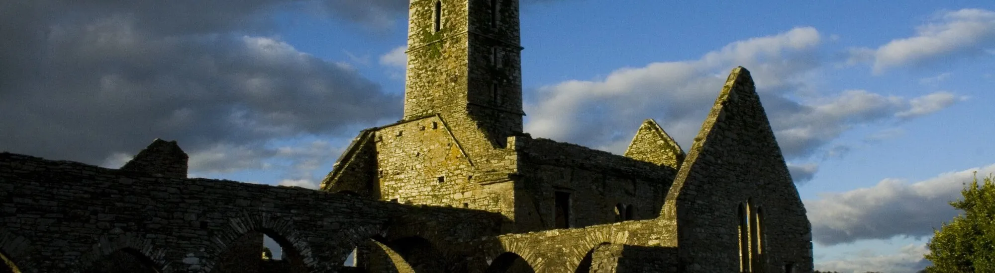 La Timoleague Abbey