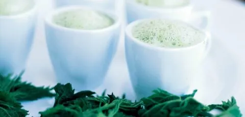 nettle soup 1 scaled