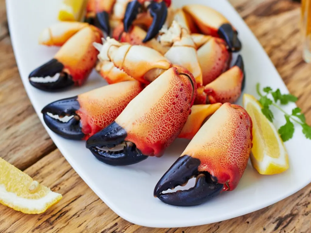 pinces de crabes 1