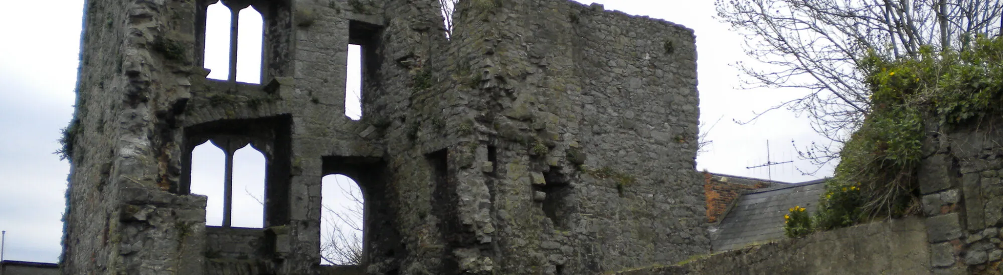 Le Fanning&rsquo;s Castle