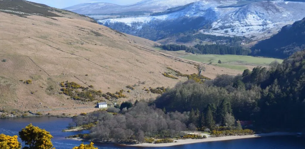 lough dan 1