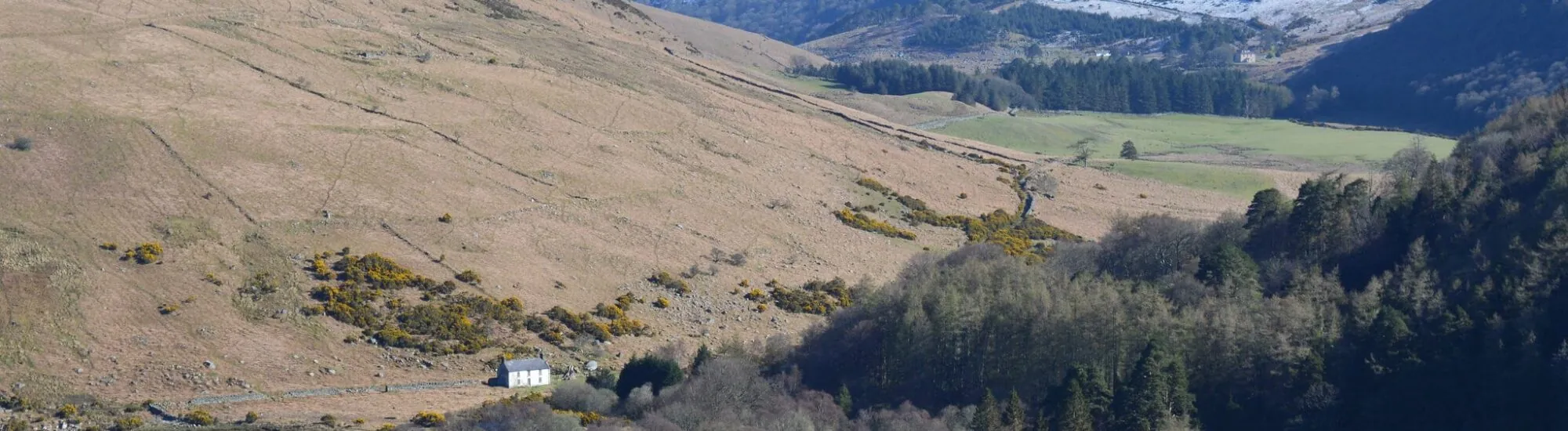 Le Lough Dan