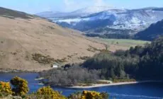 Le Lough Dan - Panpan Lin - cc