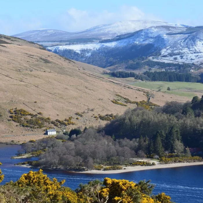 Le Lough Dan - Panpan Lin - cc