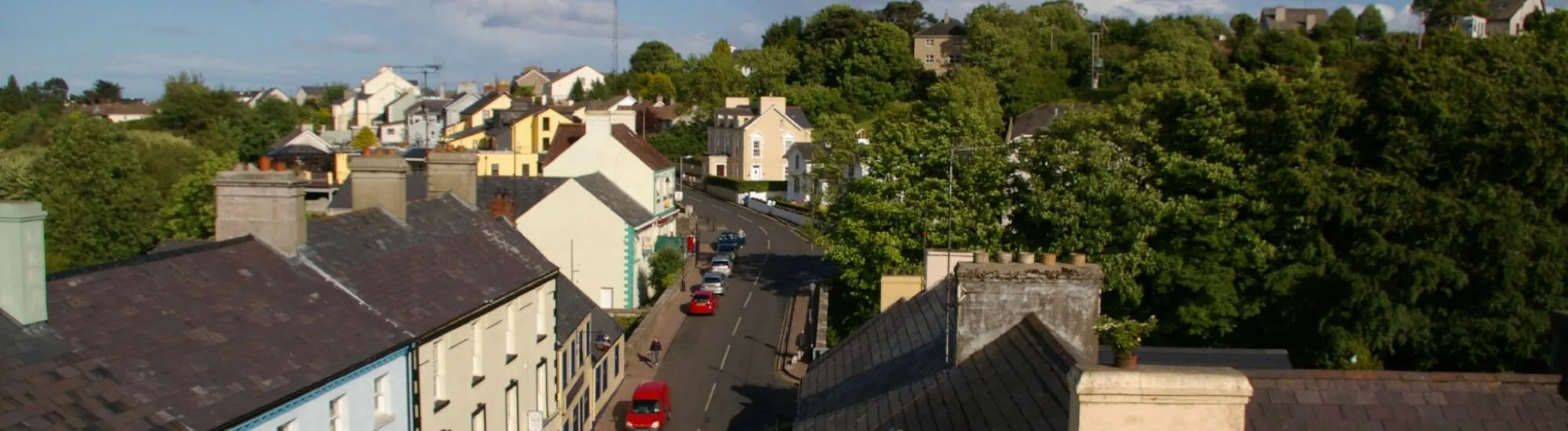 Cushendall - scorzonera - cc