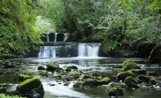 La Fowley falls - Caroline Johnston - cc