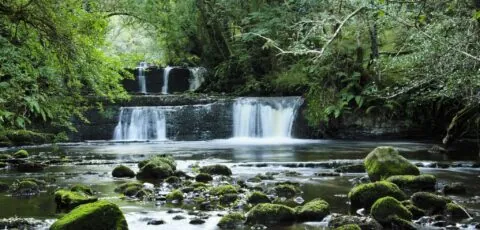 fowley falls 1