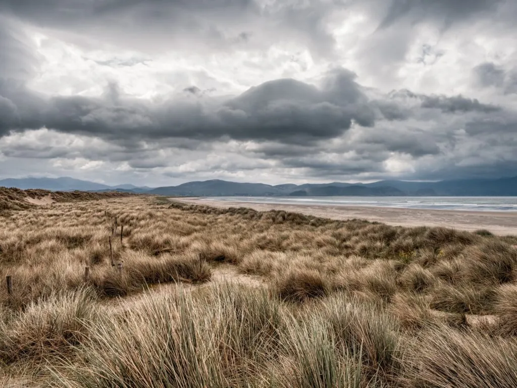 La Inch bech - © Jon Ingall