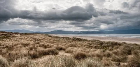 inch beach