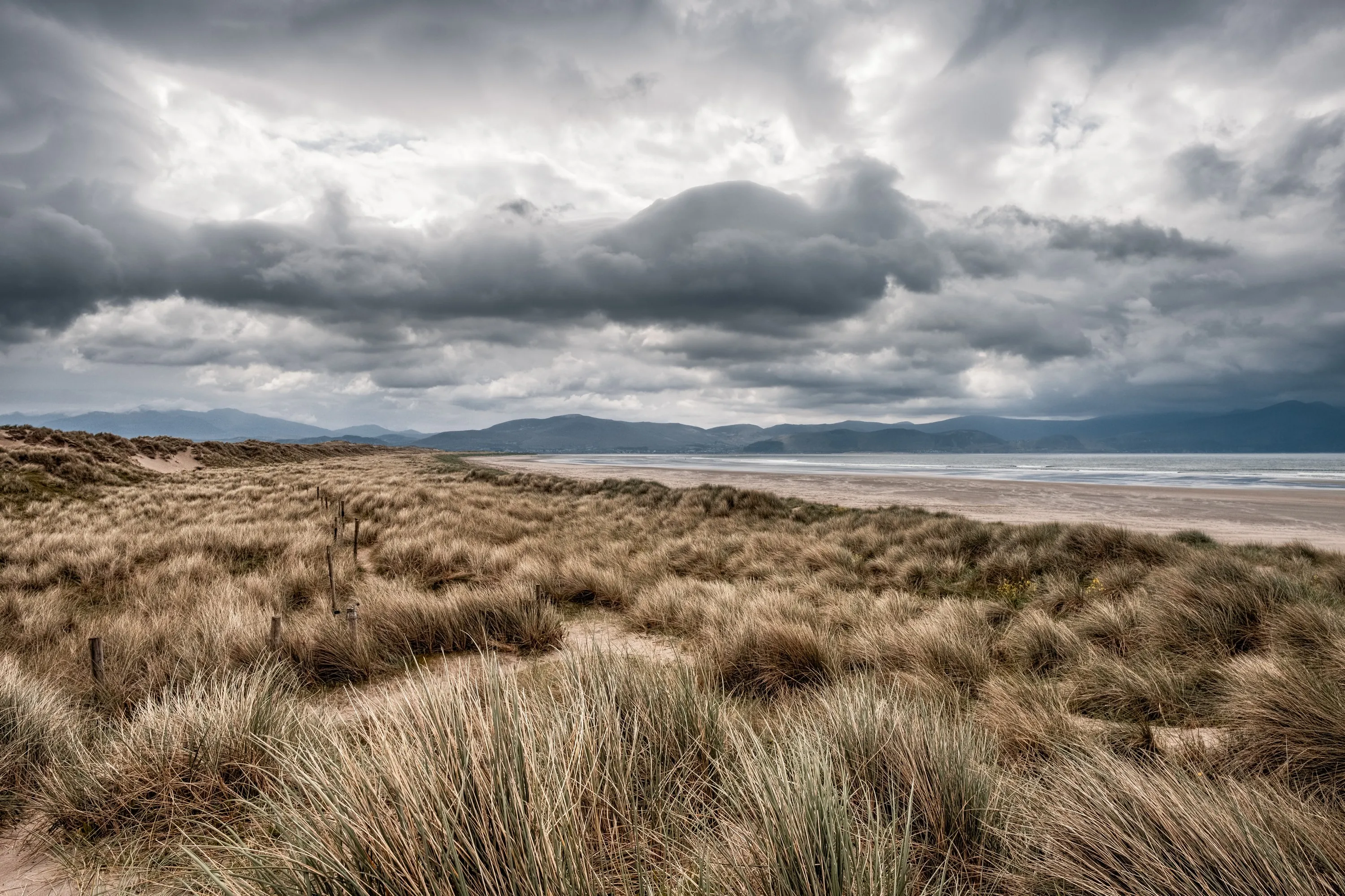 La Inch bech - © Jon Ingall