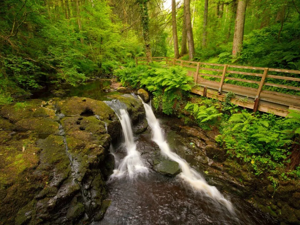 Le Glenariff Forest Park - Umberto Nicoletti - cc