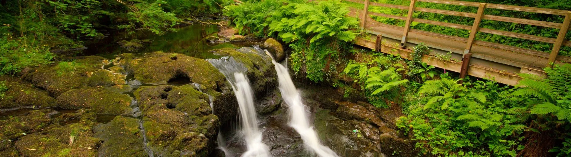 Le Glenariff Forest Park