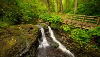 Le Glenariff Forest Park - Umberto Nicoletti - cc