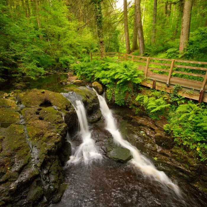 Le Glenariff Forest Park - Umberto Nicoletti - cc