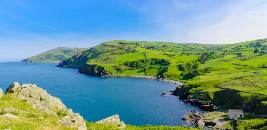 torr head 3
