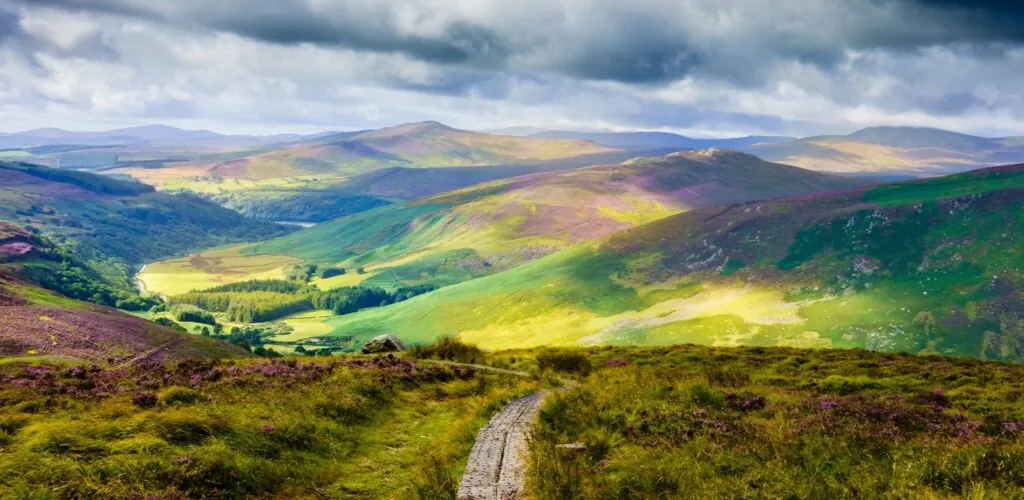 Irlande : Une importante découverte archéologique réalisée dans le comté de Wicklow