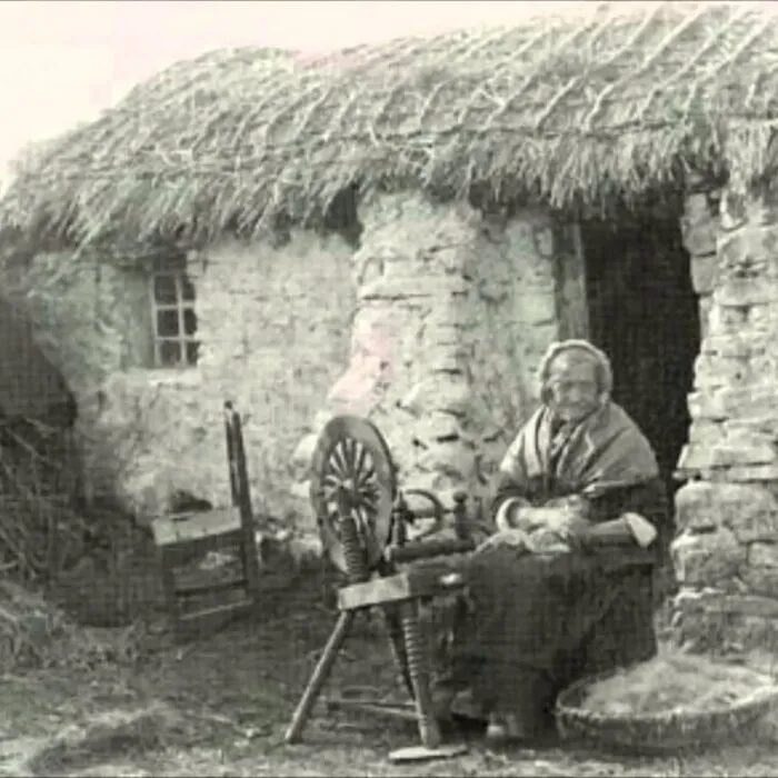 Un foyer irlandais lors de la Grande Famine - Domaine public