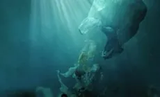 Des déchets plastiques dans l'océan - stokkete
