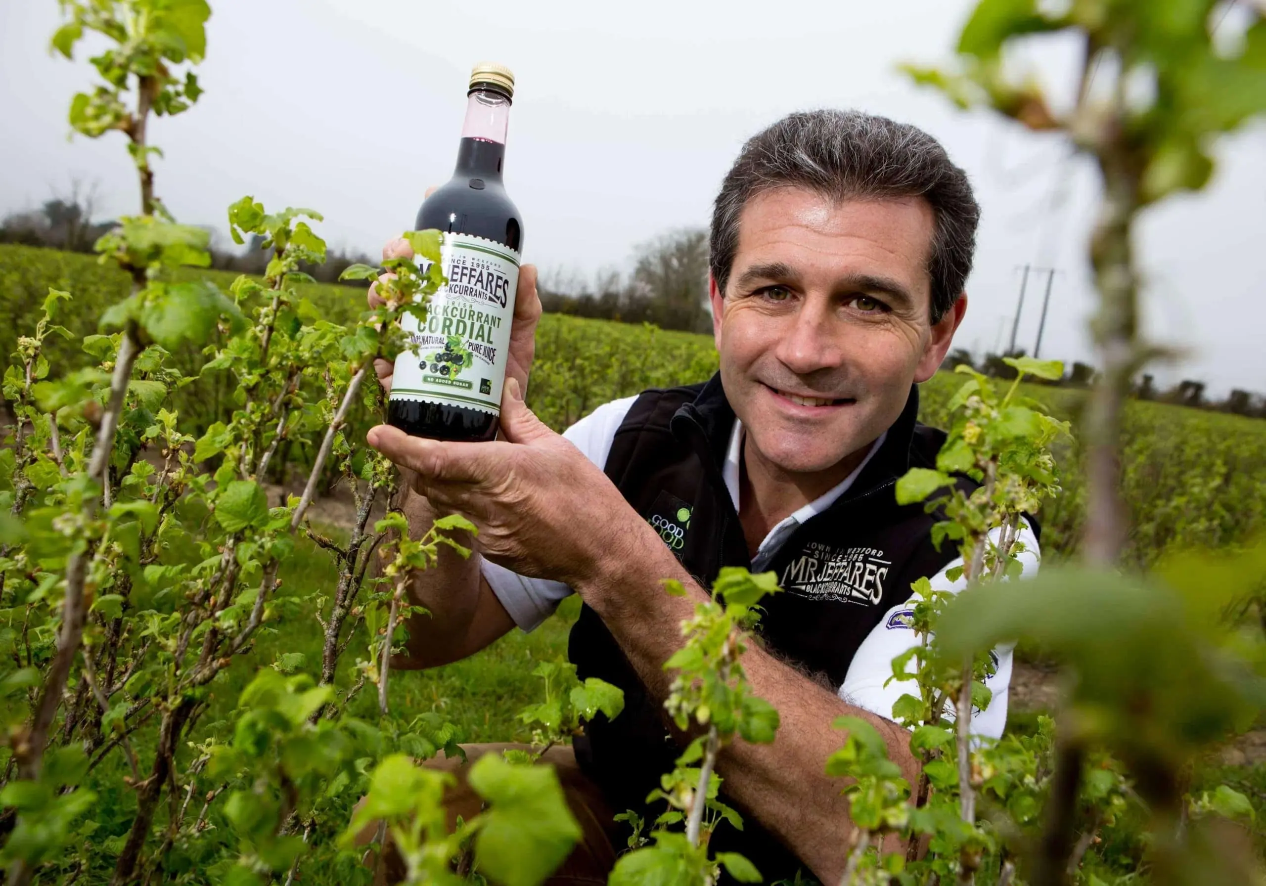 Le Blackcurrant