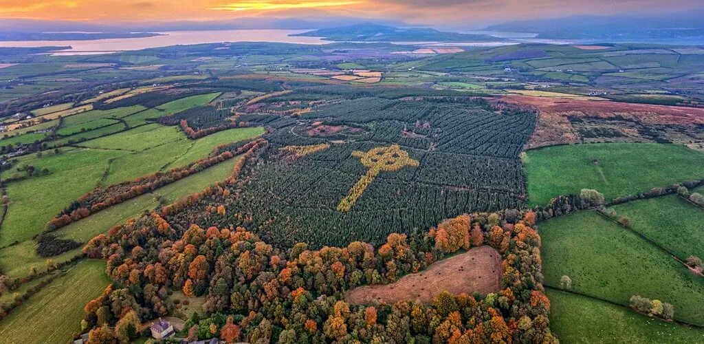 Irlande : une croix celtique fait son apparition à chaque automne au survol d&rsquo;une forêt