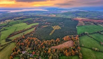 Une croix celtique s'est formée en pleine forêt du comté de Donegal en Irlande - Gareth Wray