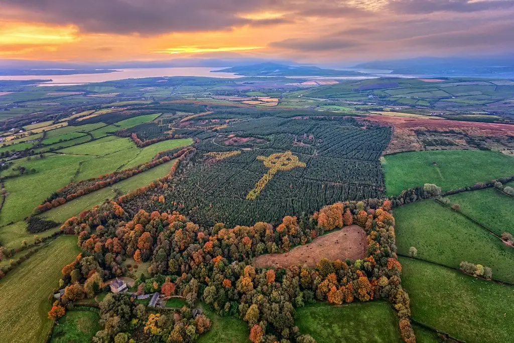 Une croix celtique s'est formée en pleine forêt du comté de Donegal en Irlande - Gareth Wray