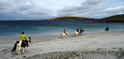 equitation irlande 1