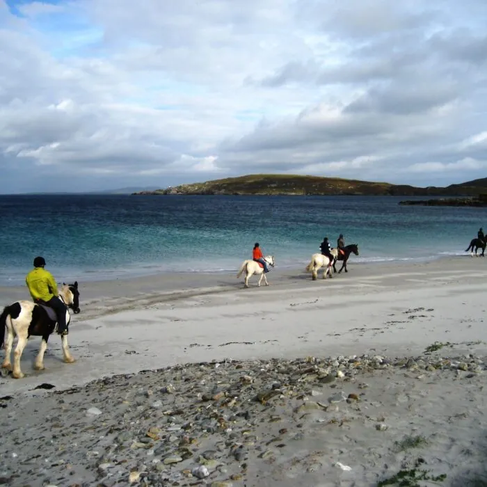 Du cheval sur une plage en Irlande - ben d - cc