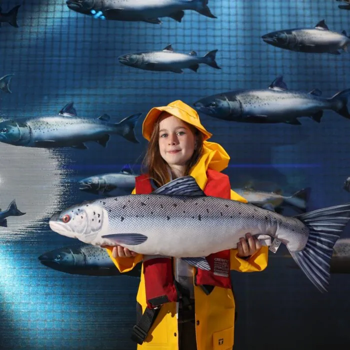 Taste The Atlantic - The Salmon Experience