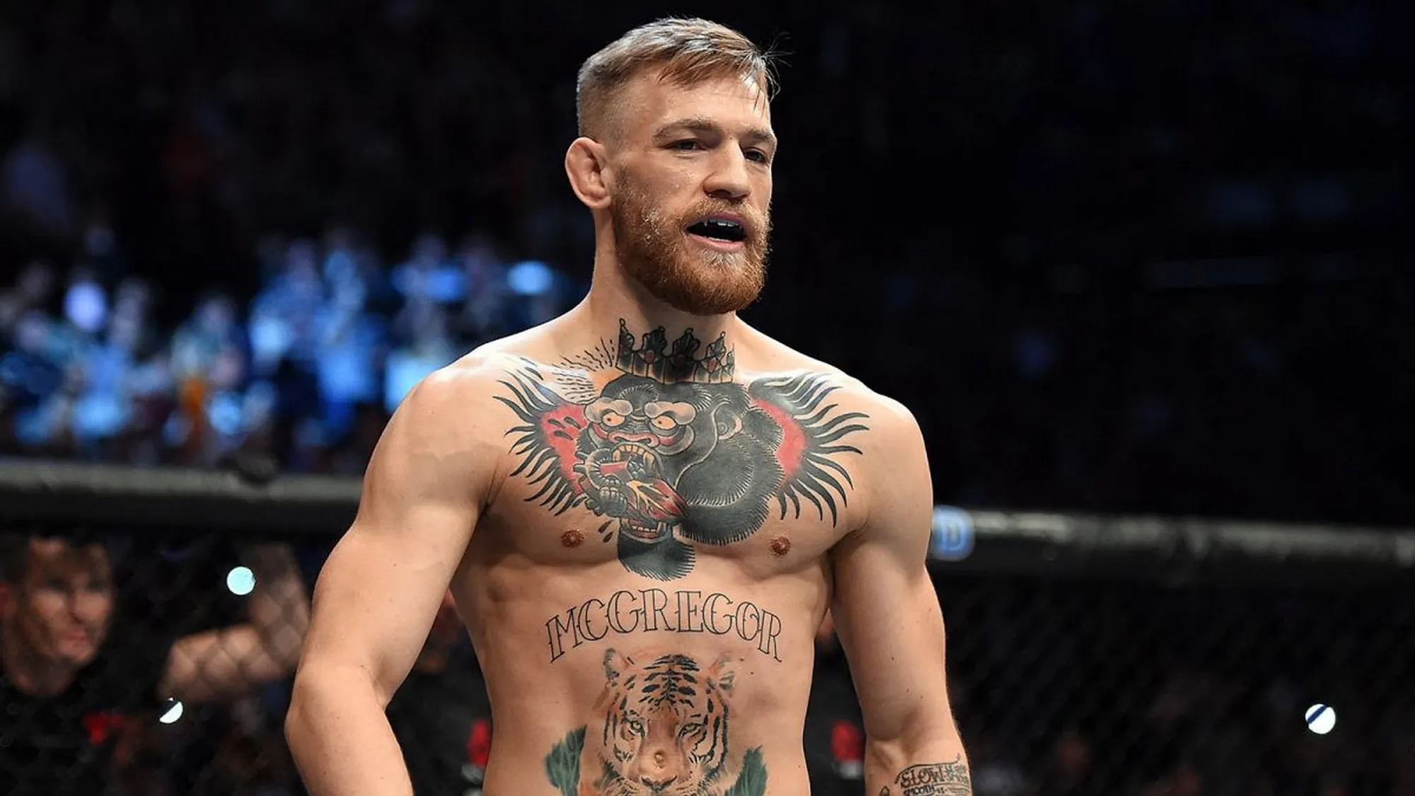 Conor McGregor - Celebs Journey - cc