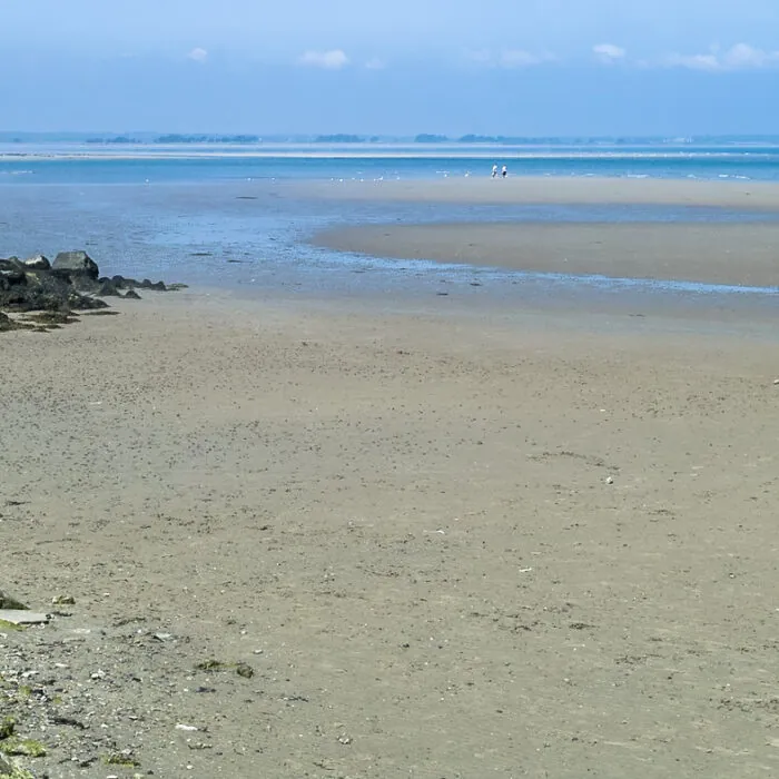 La Claremont beach - William Murphy - cc