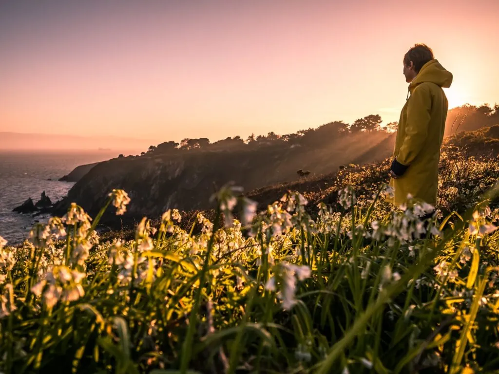 Le Howth Cliff Path - Giuseppe Milo - cc