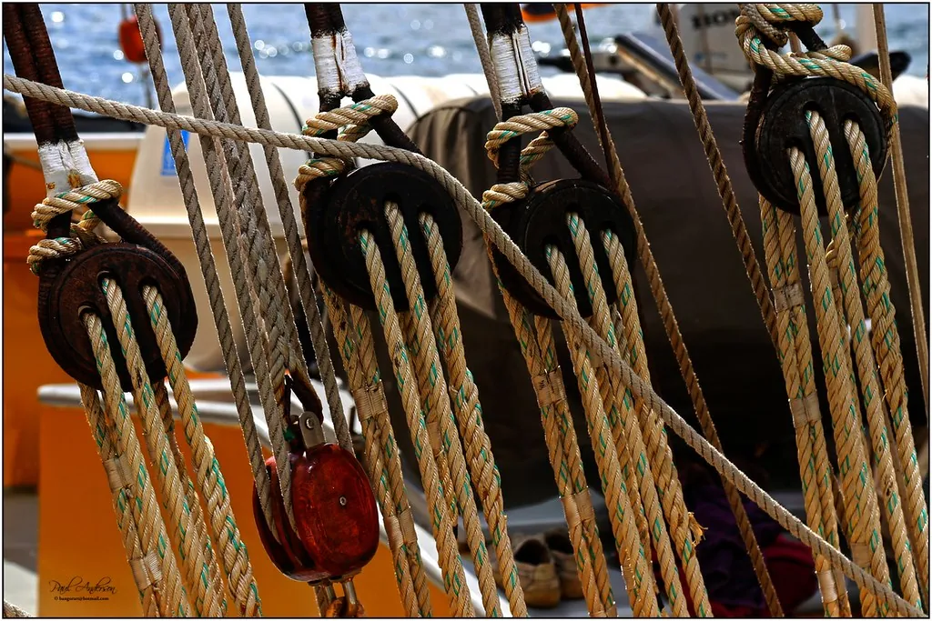 Le Yawl Festival