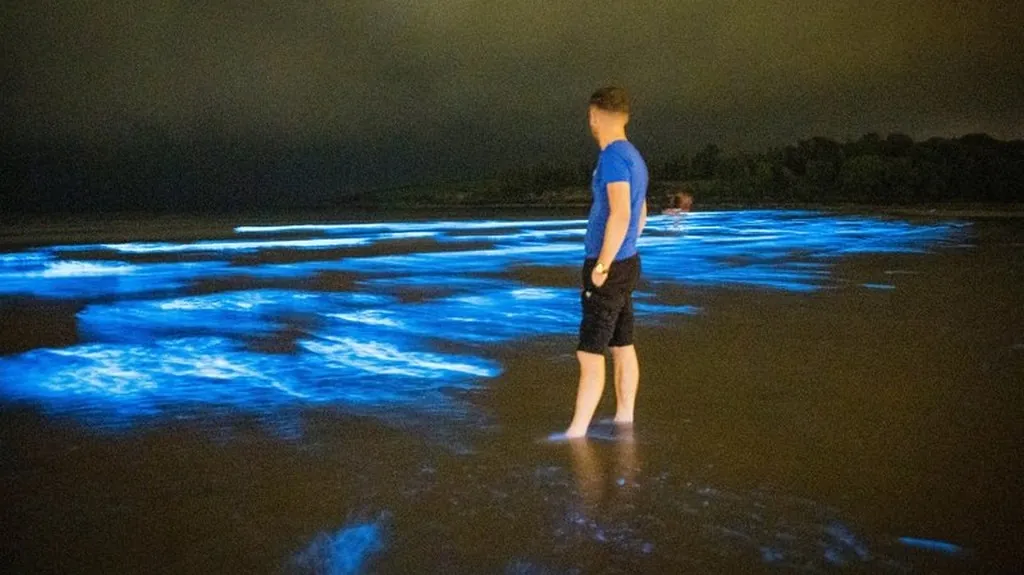 La Fountainstown beach illuminée par du plancton