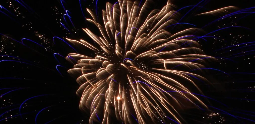 Dublin annule son festival du Nouvel An