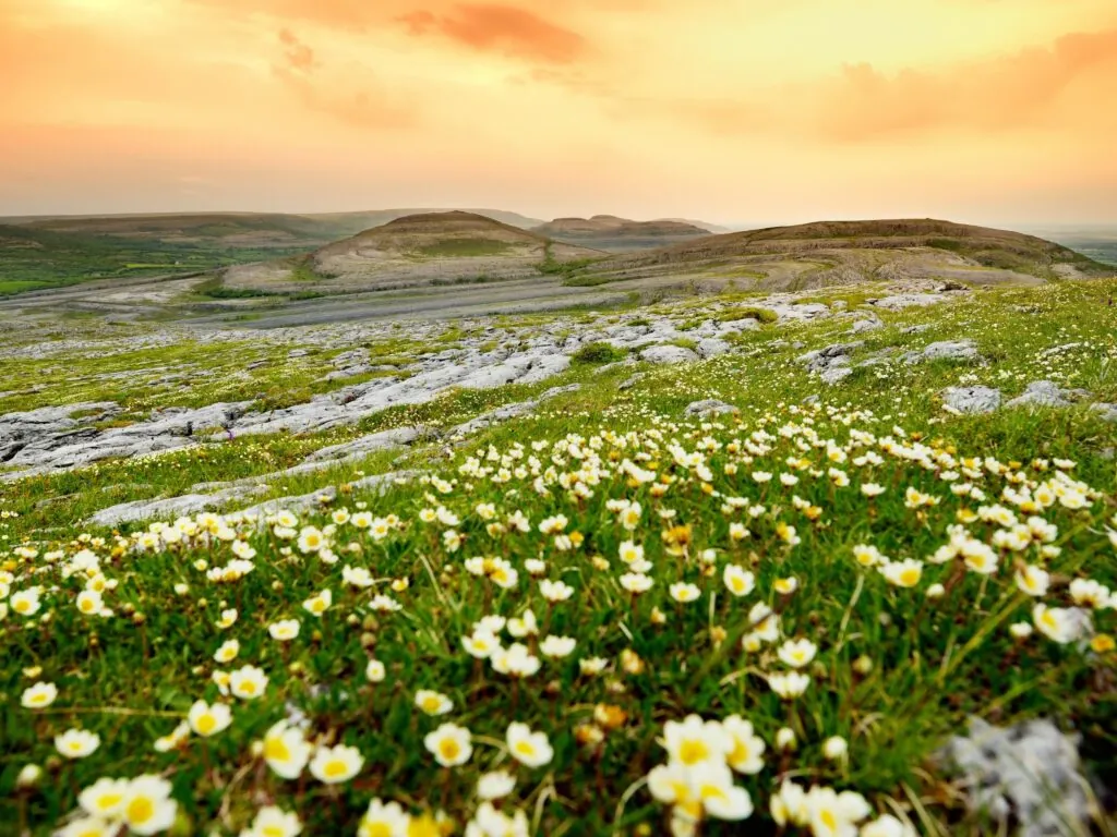 burren